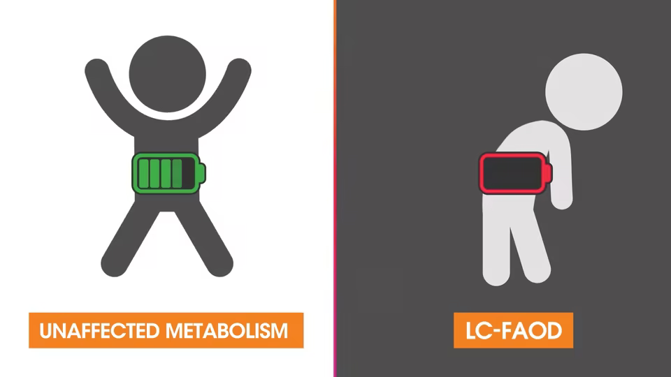 Graphic for patient video to understand what causes LC-FAOD and how it impacts the body